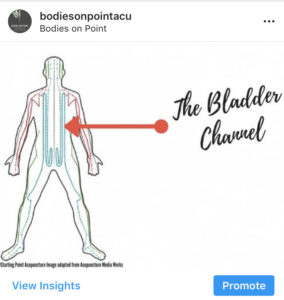 Find out more about the baldder channel as well as all meridians with Thad and Sara at Bodies on point acupuncture and chinese medicine in Denver, colorado